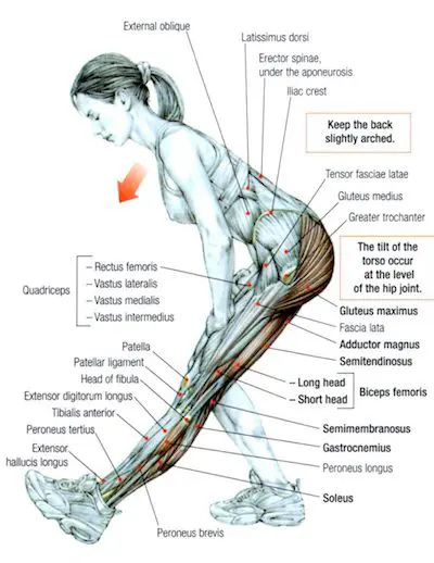Hamstrings-stretch option 2