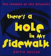 PIXHOLEinSidewalk