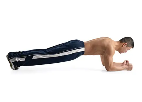 plank_483x350_1