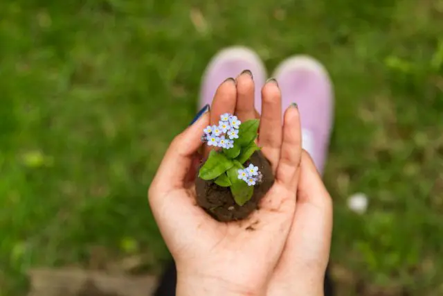 The Conscious Actor – Two Powerful Tips For a Transformative New Year