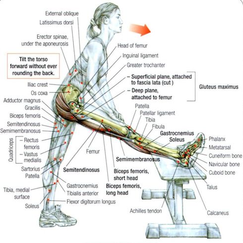 Hamstrings-stretch option 1