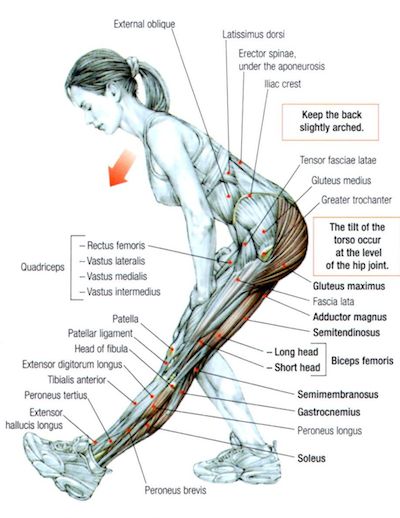 Hamstrings-stretch option 2