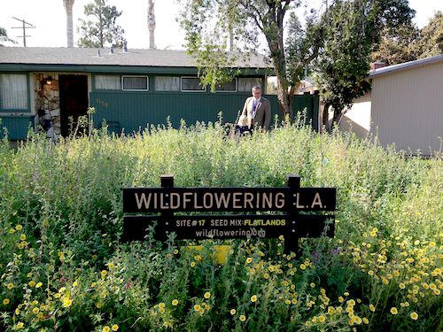 WildfloweringLA-Sydney and Stephen-1