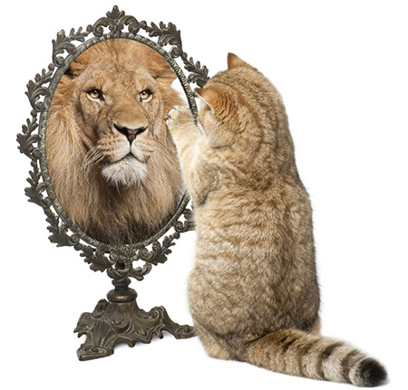 The Conscious Actor